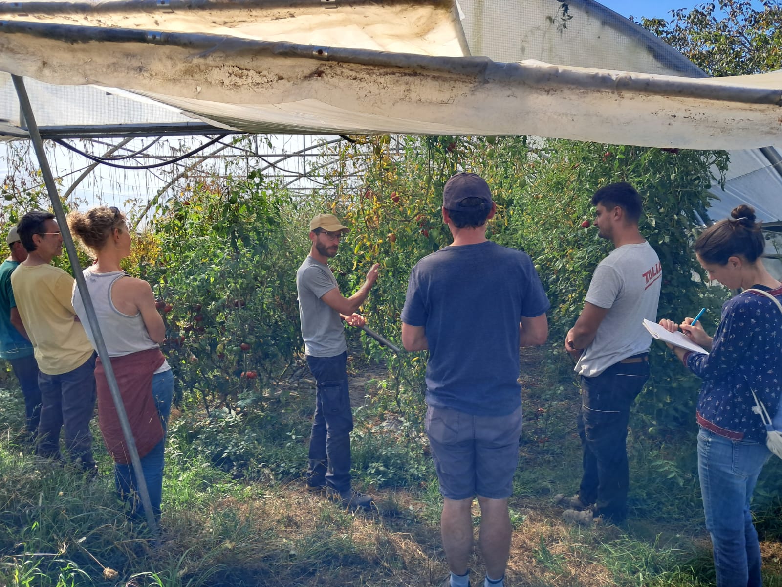 WhatsApp Image 2024-09-20 at 14.03.13 (1)