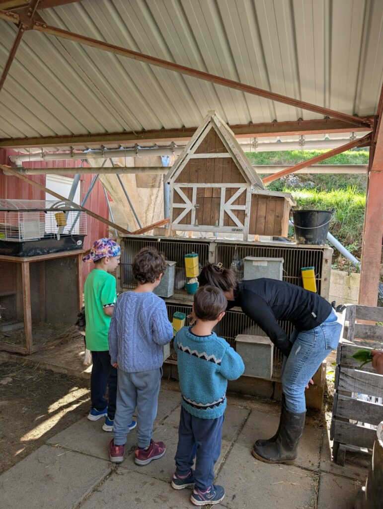 Animation MBEL aurabio.org