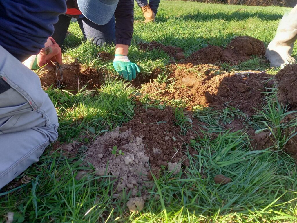 Lutte contre le campagnol aurabio.org