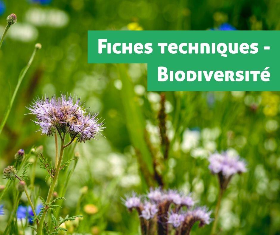 Fiches techniques biodiversité agriculture biologique aurabio.org
