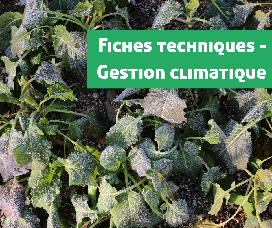 Site internet - gestion climatique fiches techiques aurabio.org