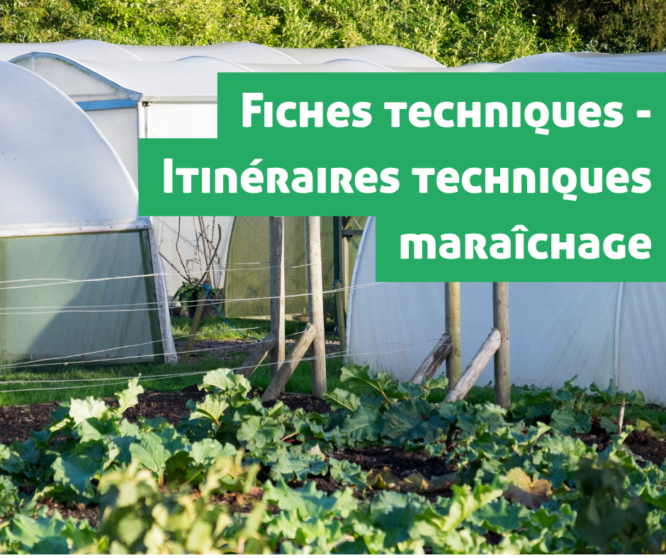 Site internet - initéraires techniques maraîchage aurabio.org